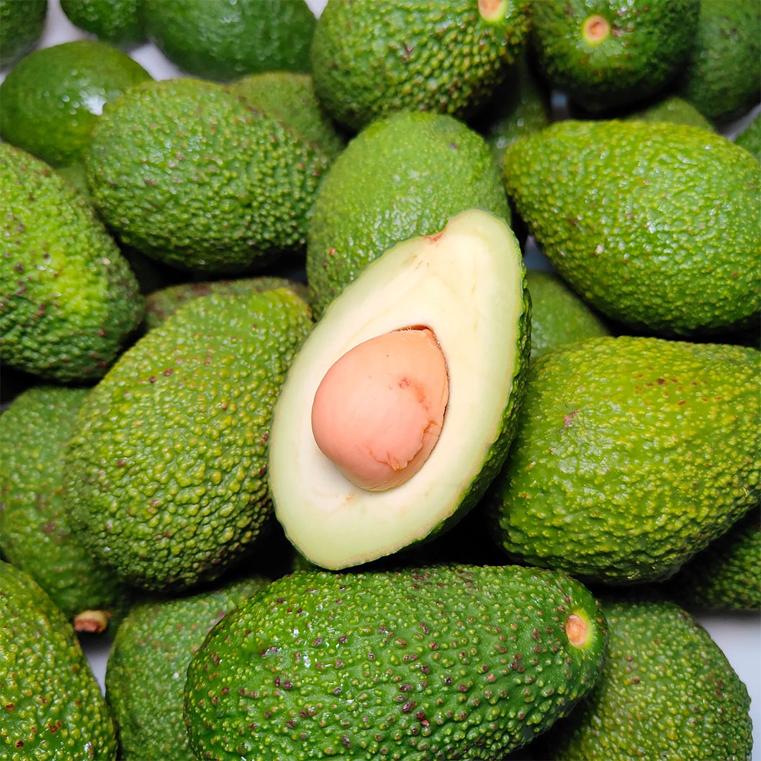 Avocados - Kemavo Growers Limited